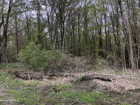 5 Watson Rd, Hinsdale, MA 01235