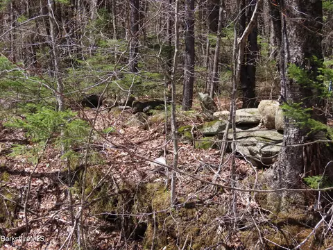 Blackstone Rd, Florida, MA 01247 photo 8