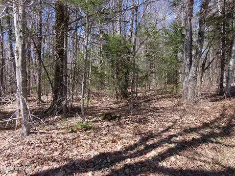 Blackstone Rd, Florida, MA 01247 photo 5