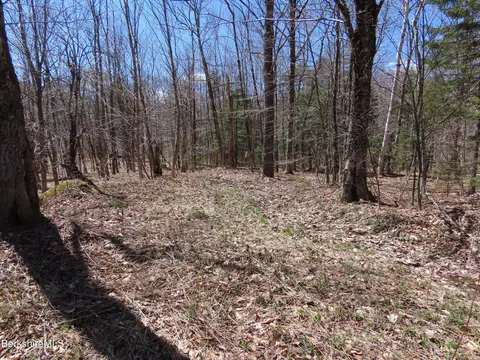 Blackstone Rd, Florida, MA 01247 photo 13