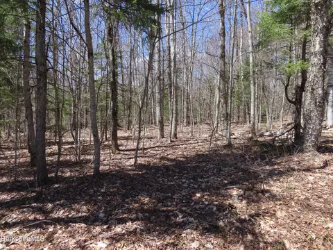 Blackstone Rd, Florida, MA 01247 photo 6