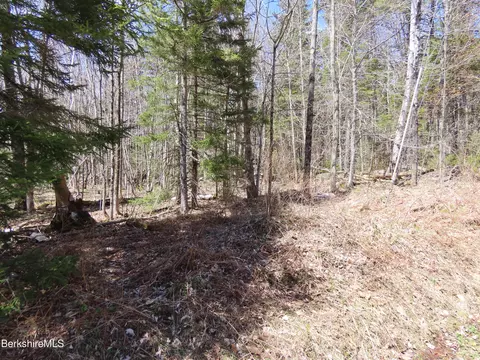 Blackstone Rd, Florida, MA 01247 photo 7