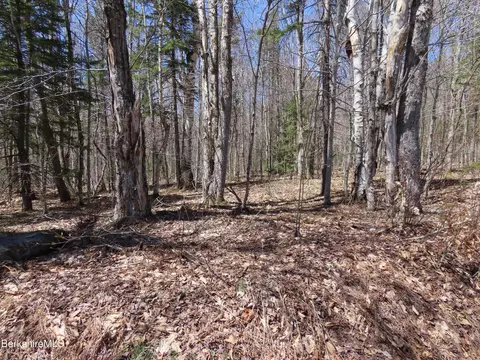 Blackstone Rd, Florida, MA 01247 photo 4