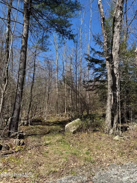lot8 Captain Whitney Rd, Becket, MA 01223