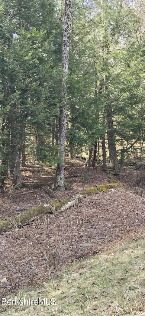 Jacobs Ladder Rd, Becket, MA 01223 photo 6