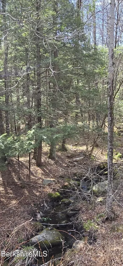 Jacobs Ladder Rd, Becket, MA 01223 photo 2