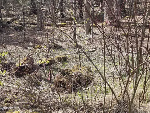 Jacobs Ladder Rd, Becket, MA 01223 photo 5