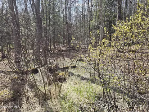 Jacobs Ladder Rd, Becket, MA 01223 photo 4