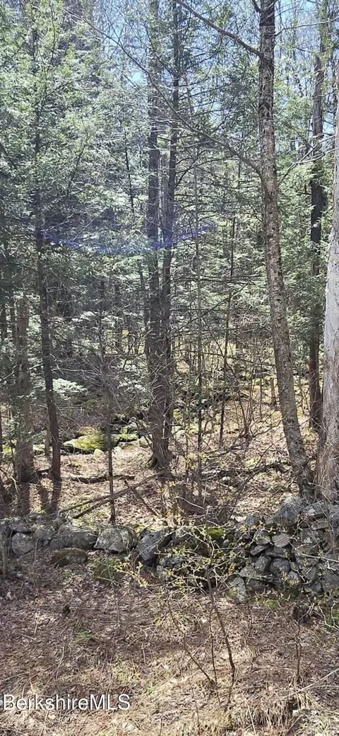 Jacobs Ladder Rd, Becket, MA 01223 photo 3