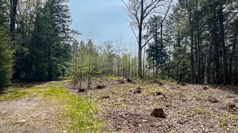 58 Stanley Rd, Otis, MA 01253 photo 6