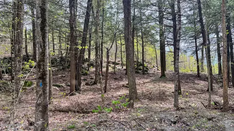 58 Stanley Rd, Otis, MA 01253 photo 3