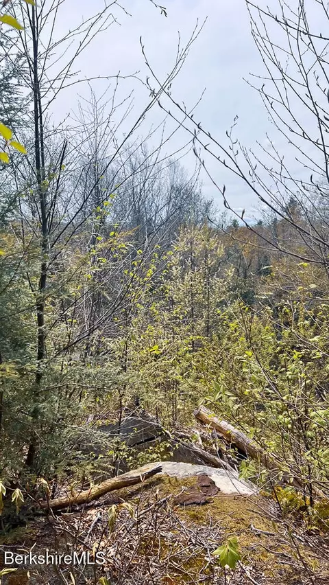 58 Stanley Rd, Otis, MA 01253 photo 4