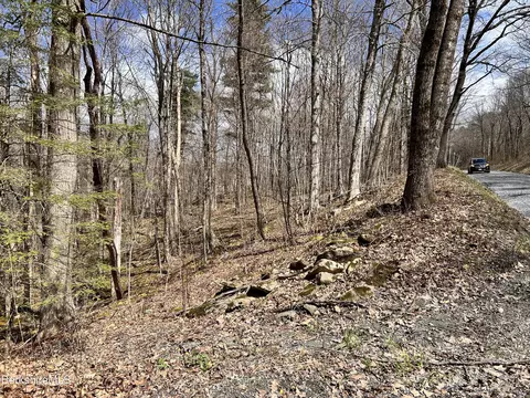 0 Goose Pond Rd, Tyringham, MA 01264 photo 2