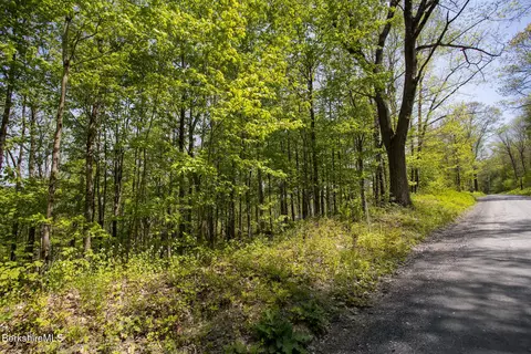 0 Goose Pond Rd, Tyringham, MA 01264 photo 4
