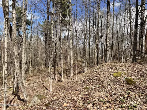 0 Goose Pond Rd, Tyringham, MA 01264 photo 3