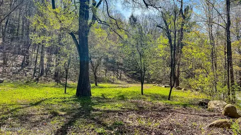 0 River Rd, Monterey, MA 01245 photo 6