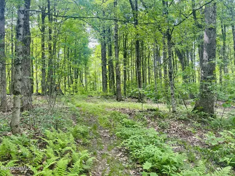 lot0 Greylock Estates Rd, Lanesborough, MA 01237