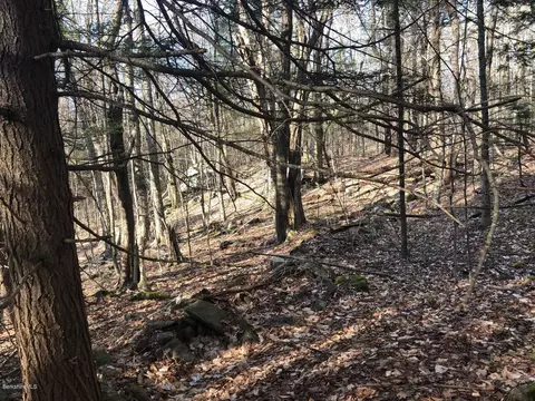 0 Dimmock Rd, Otis, MA 01253 photo 8