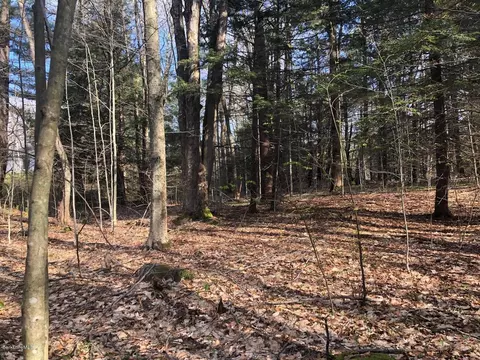 0 Dimmock Rd, Otis, MA 01253 photo 6