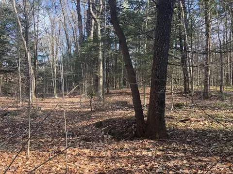 0 Dimmock Rd, Otis, MA 01253 photo 5