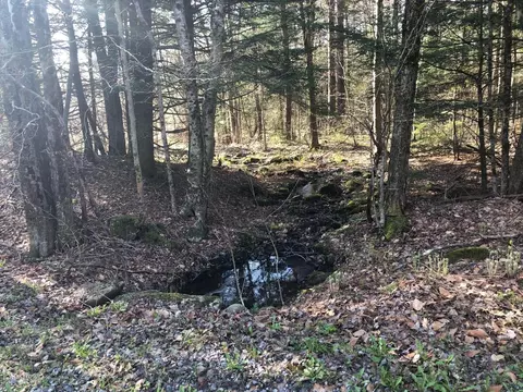0 Dimmock Rd, Otis, MA 01253 photo 3