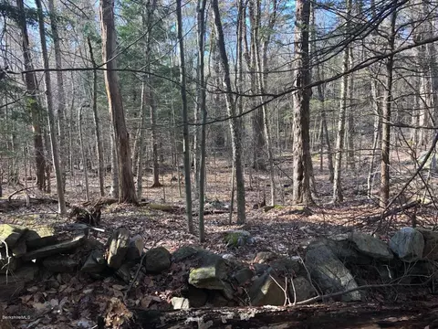 0 Dimmock Rd, Otis, MA 01253 photo 7