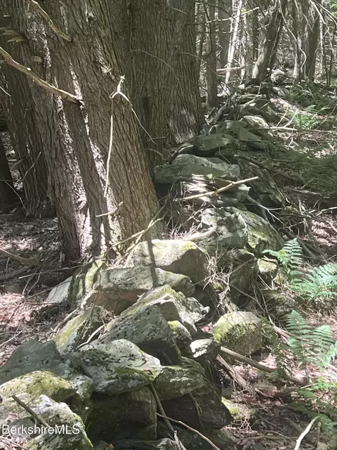 Outlook Ave, Cheshire, MA 01225