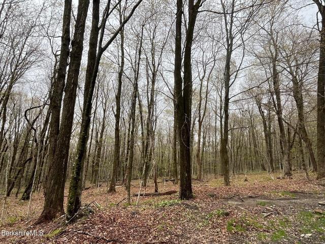 0 Manley Phelps Rd, Monroe, MA 01350