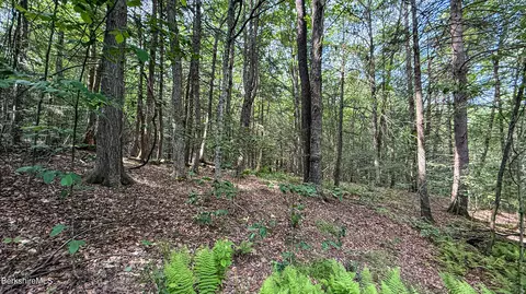 lot35 Deer Run, Becket, MA 01223