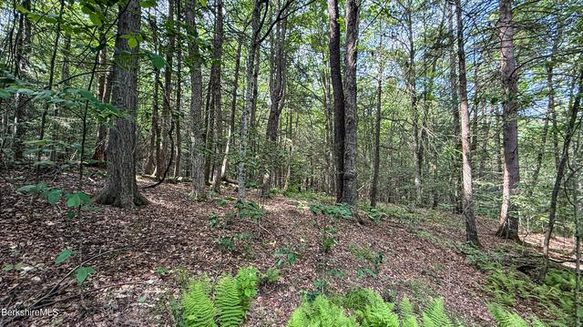 lot35 Deer Run, Becket, MA 01223