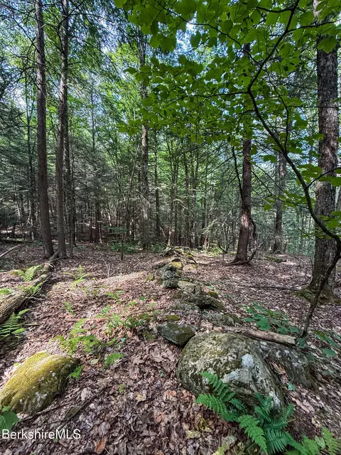 lot35 Deer Run, Becket, MA 01223