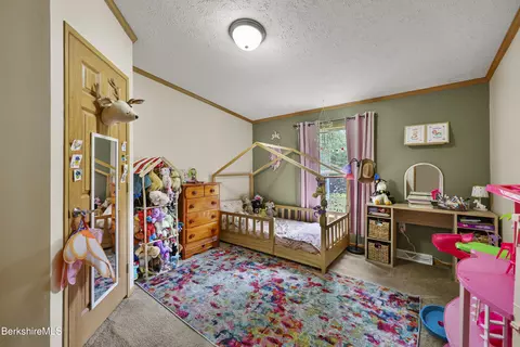 Bedroom - 548 Loop Rd, Savoy, MA 01256 photo 4 of 5