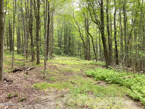 Monroe Rd, Florida, MA 01247 photo 2