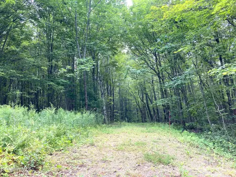 Monroe Rd, Florida, MA 01247 photo 5