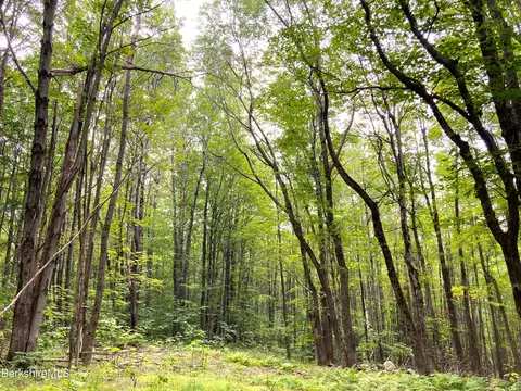 Monroe Rd, Florida, MA 01247 photo 3