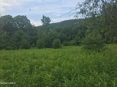 0 Lake Buel Rd, Great Barrington, MA 01230