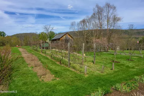Exterior - 264 260 Main Rd, Tyringham, MA 01264 photo 30 of 49