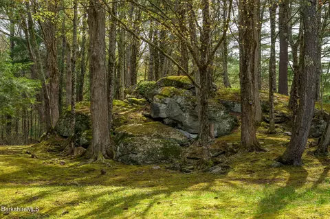 Exterior - 264 260 Main Rd, Tyringham, MA 01264 photo 32 of 49