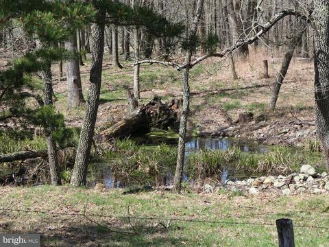 12536 Mummert Rd, Clear Spring, MD 21722 photo 7