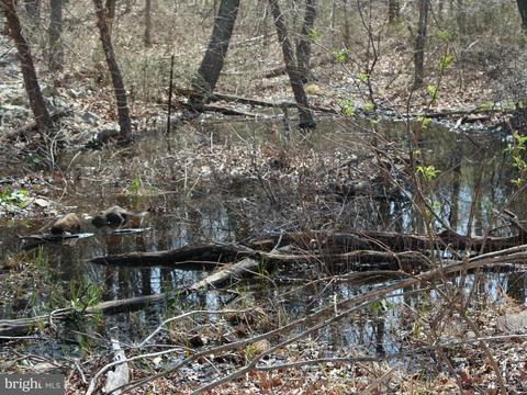 12536 Mummert Rd, Clear Spring, MD 21722 photo 28