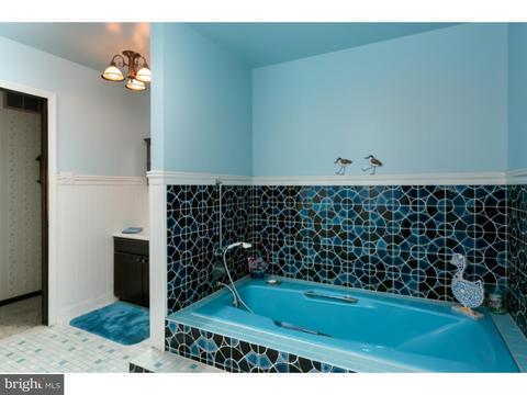 423 Carranza Rd, Tabernacle, NJ 08088 photo 16