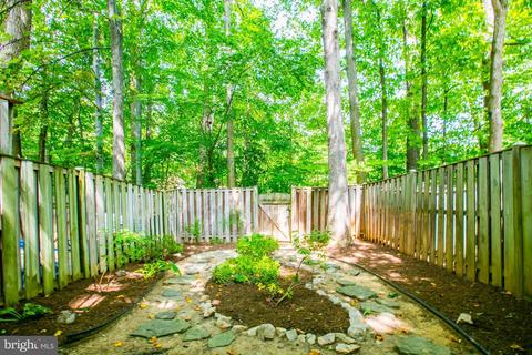 6468 Ohara Ct, Springfield, VA 22152 photo 19