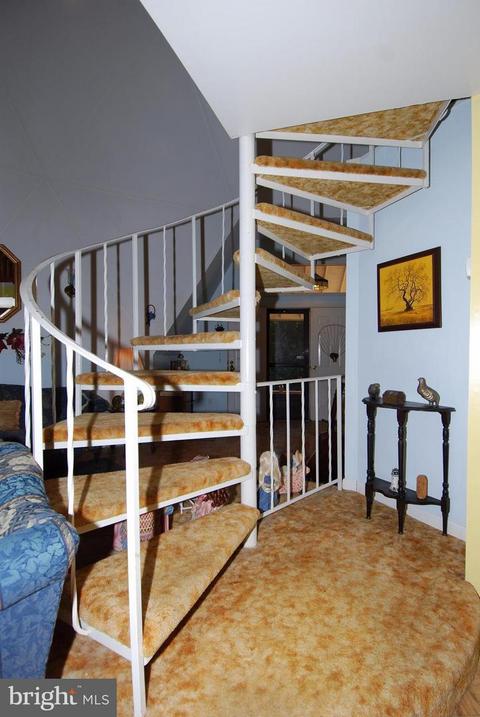 110 Eleanor St, Elkton, MD 21921 photo 11