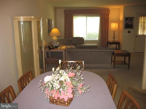 3667 Edelmar Ter #117-B, Silver Spring, MD 20906 photo 5