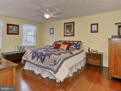 7610 Springfield Hills Dr, Springfield, VA 22153 photo 19