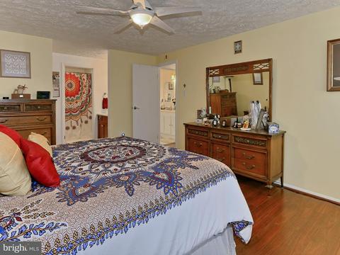 7610 Springfield Hills Dr, Springfield, VA 22153 photo 20