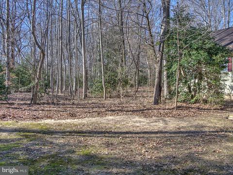 6606 Harmony Rd, Preston, MD 21655 photo 13