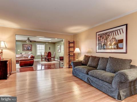 14808 Cobblestone Dr, Silver Spring, MD 20905 photo 5