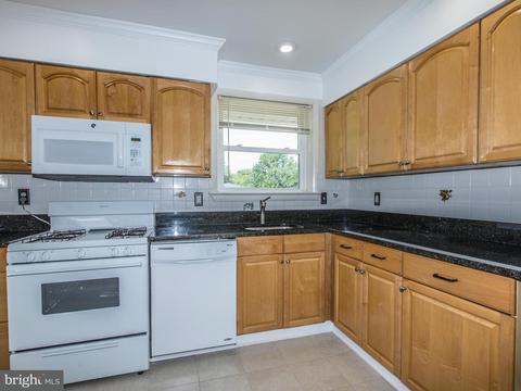 10704 Francis Dr, Silver Spring, MD 20902 photo 5