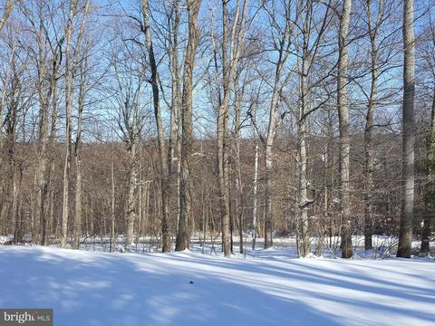 24581 Hells Delight Rd, Smithsburg, MD 21783 photo 22